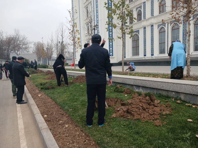 16.01.2026 / Ҳашаре, ки дар он роҳбарият, кормандон ва омӯзгорони муассиса иштироки фаъолона намуда, зиёда аз 4000 бех гулҳои садбарг, гулҳои ҳамешасабз ва дарахтони сӯзанбарг шинониданд