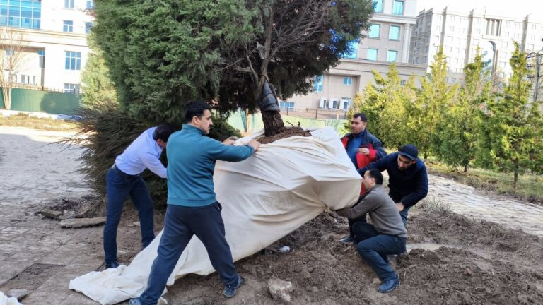 17.02.2026 / Иҷрои дастуру супоришҳои Раиси шаҳри Душанбе муҳтарам Рустами Эмомалӣ дар робита ба эълон гардидани соли 2026 ҳамчун «Соли вусъат додани корҳои ободонию созандагӣ ва тақвияту таҳкими худшиносиву худогоҳии миллӣ»